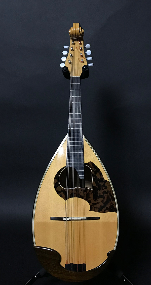 マンドリン｜クラシックギターとマンドリンの専門店 フォレストヒル