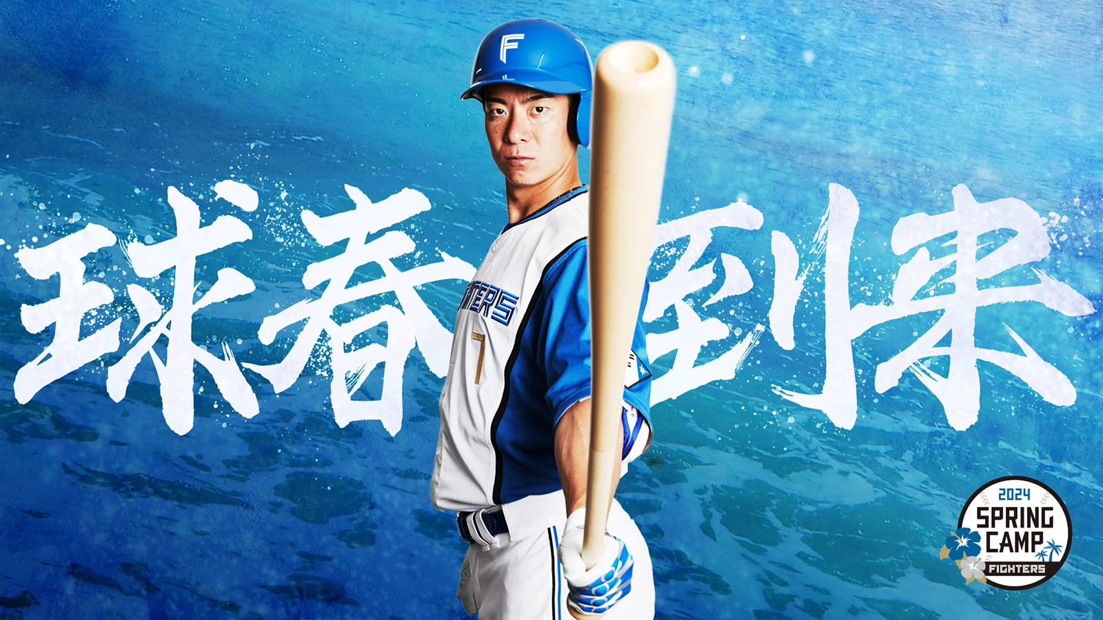2024春季キャンプ情報 | 北海道日本ハムファイターズ