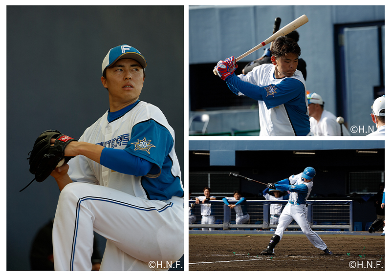 祝北海道誕生20年！ミズノ HOKKAIDO 20th ワッペン付き プロ