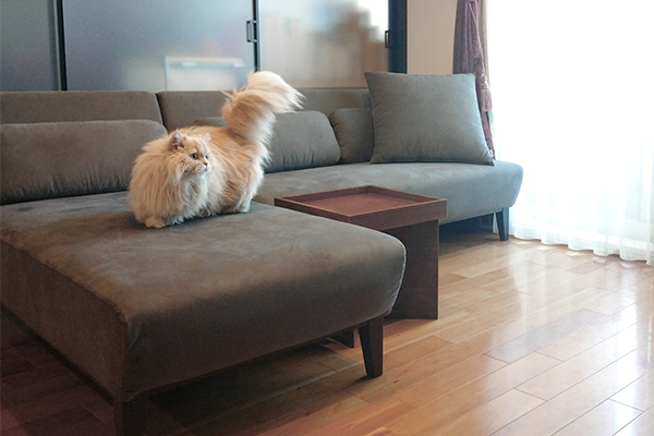 MAROON カウチ | お客様の声 | ソファ専門店FLANNEL SOFA