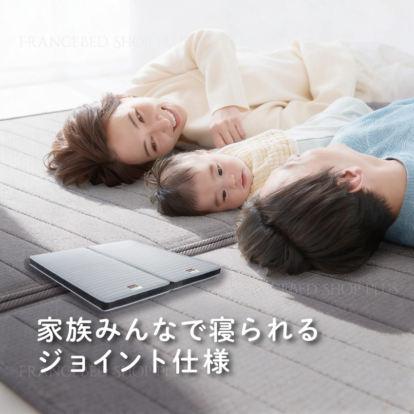 フランスベッド マットレス FD-W02JT | 【公式通販】フランスベッド