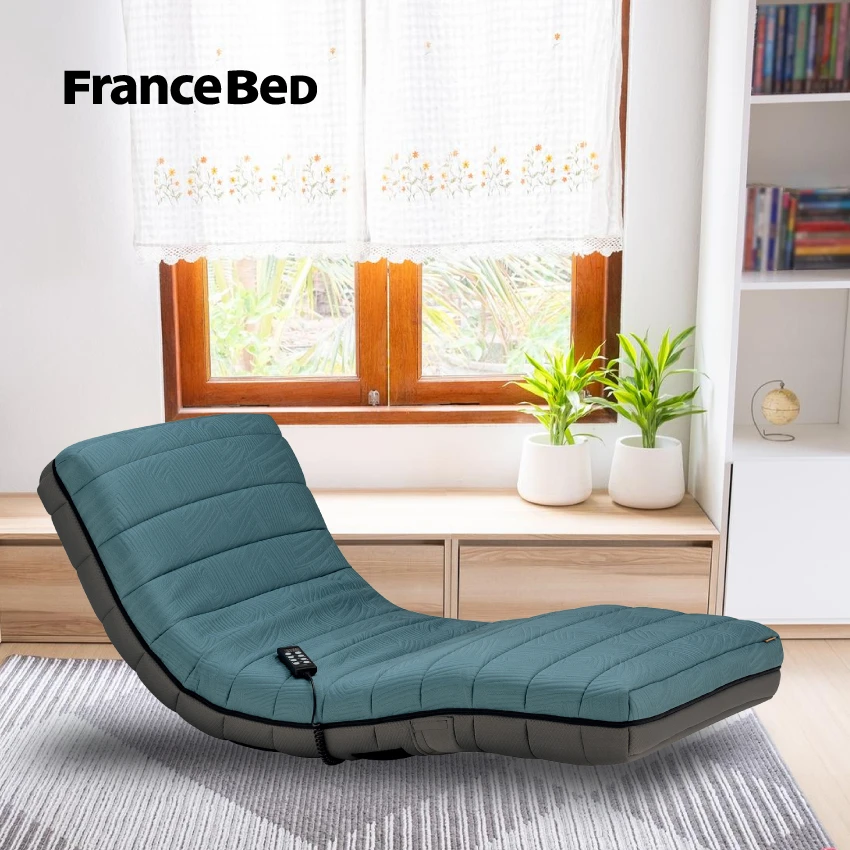 フランスベッド 電動リクライニングマットレス ルーパームーブ RP-3500