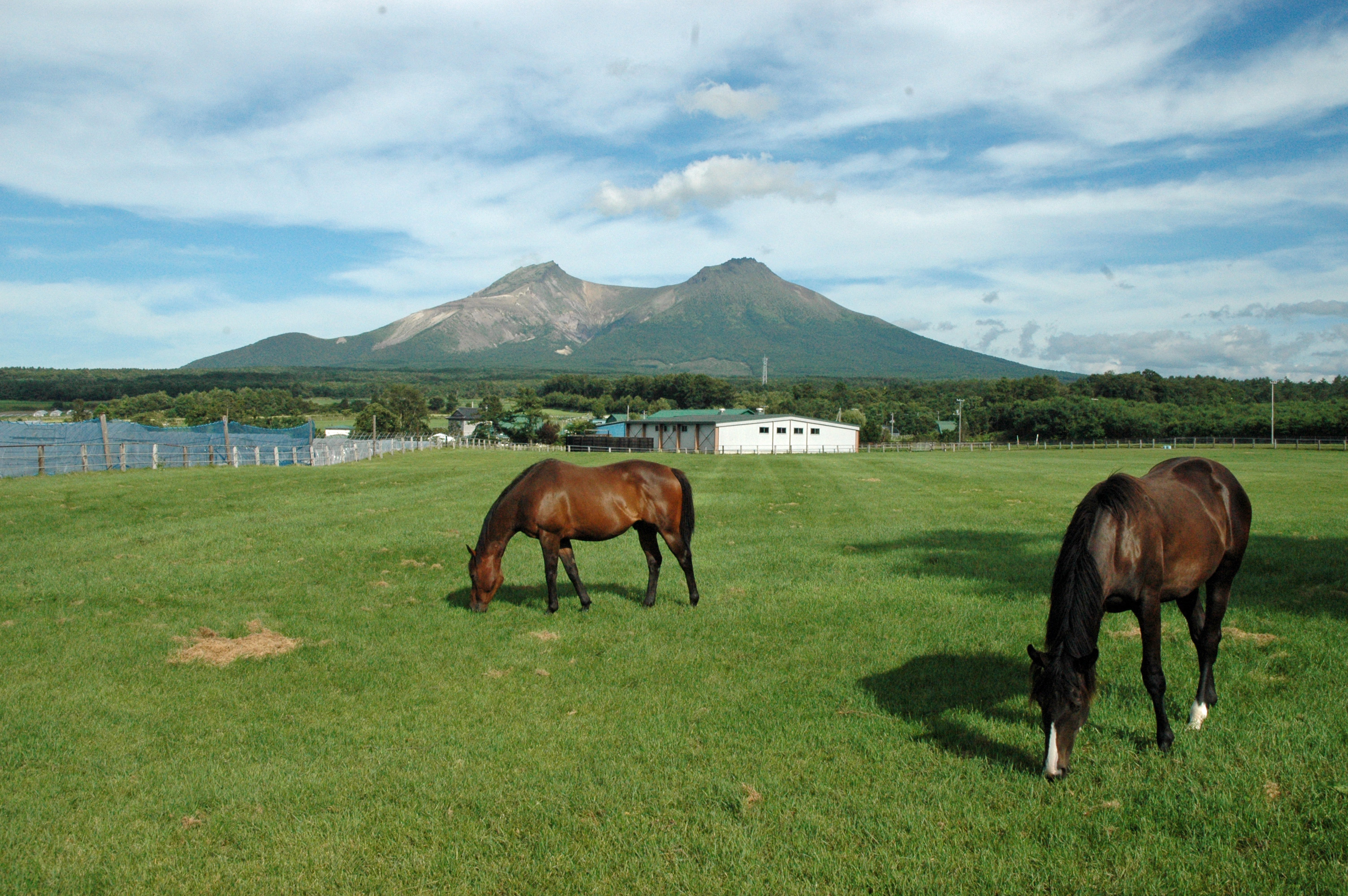 謎の出雲帝国 -怨念の日本原住民氏・天孫一族に虐殺された出雲神族の