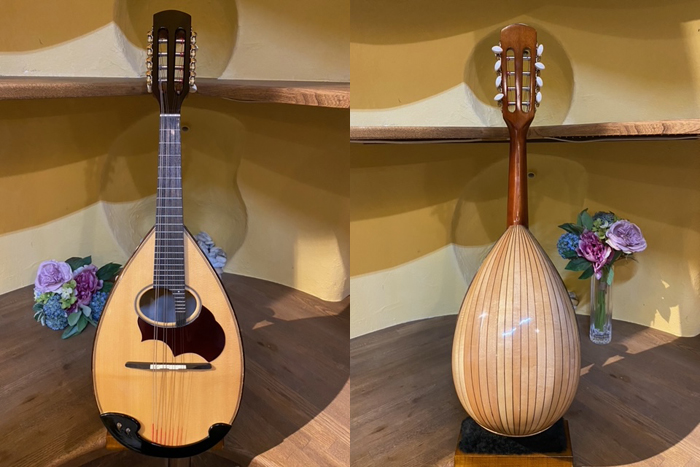 M-30 マンドリン鈴木バイオリン ｜ G-Call ふるさと納税