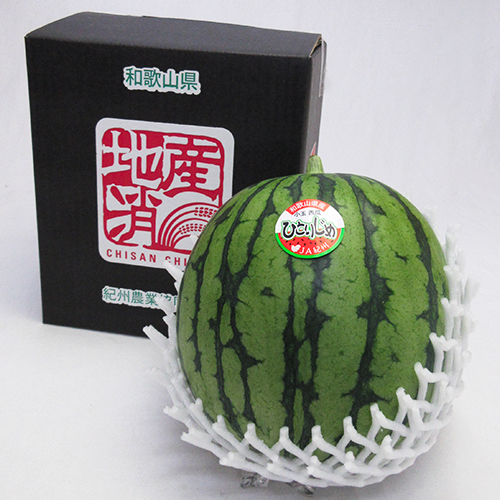 大阪市中央市場 万果 小玉すいか ひとりじめスイカ くだもの | G-Call