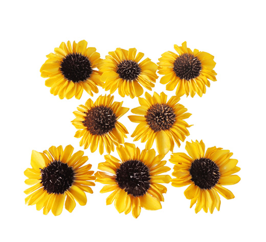 大地農園・ソーラーひまわり・イエロー(32770-500) | プリザーブド