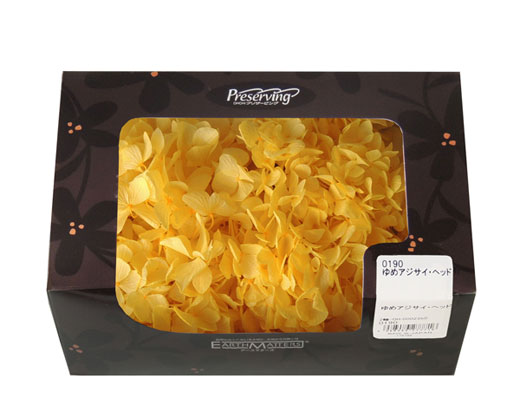 アウトレット・大地農園・あじさい | プリザーブドフラワーKnext