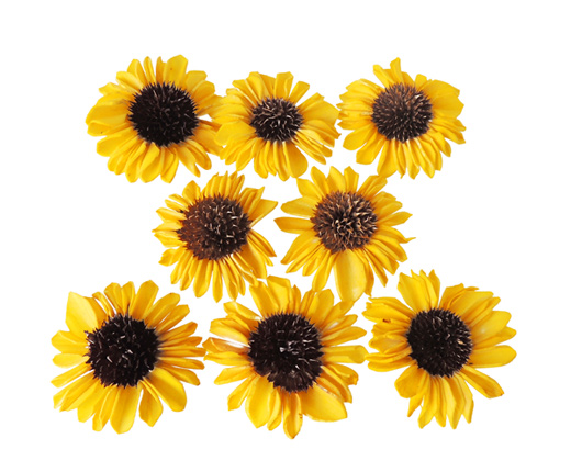 大地農園・ソーラーひまわり・イエロー(32770-500)・アウトレット