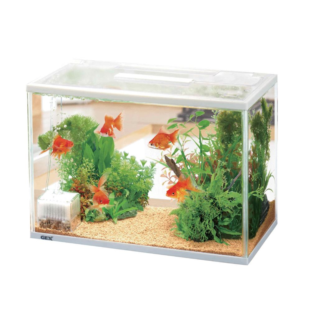 水槽 mellow1003 水槽 mellow1003 Amazon | 牧小苫＼msmr 水槽