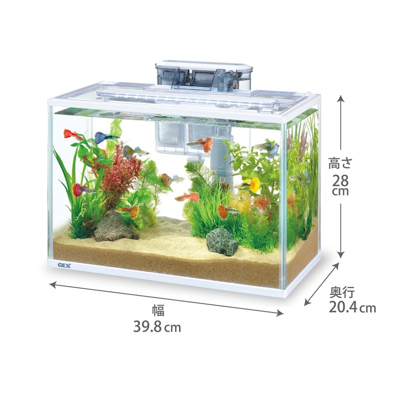 ジェックス GEX スリムアクアセット 400 の通販