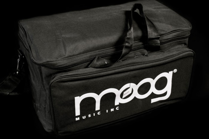 Multi-Purpose Gig Bag – moog