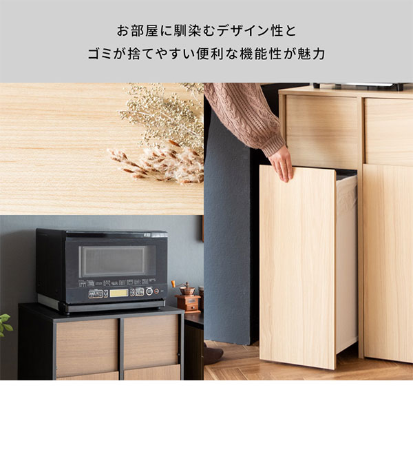 ゴミ箱 分別キャスターダストボックス Helios ヘリオス DB-F2100 3色