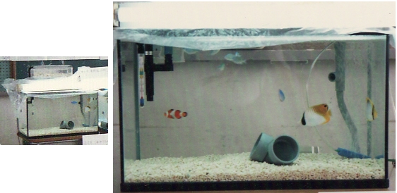 ろ過システムのガイド