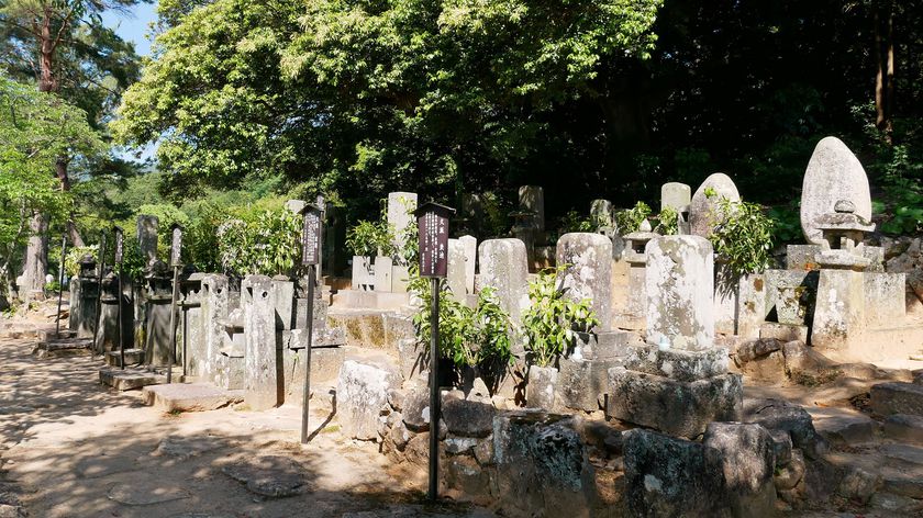 観光スポット｜萩市観光協会公式サイト｜山口県萩市