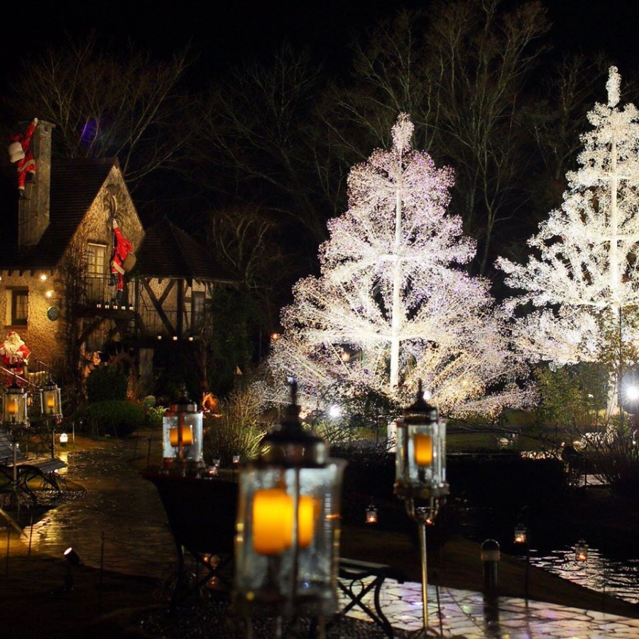 一生に一度、必ず見ておきたい～|箱根町観光協会公式サイト 温泉・旅館