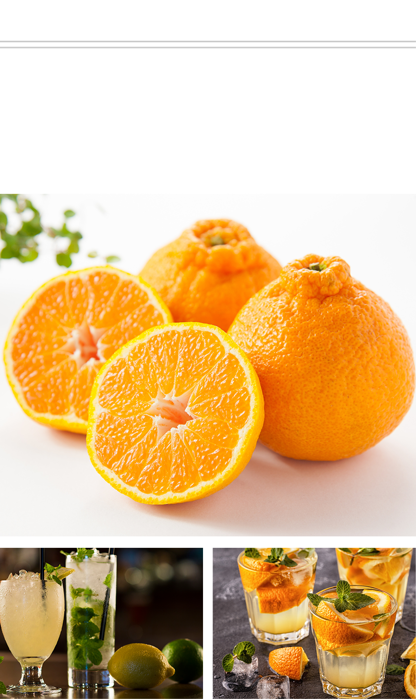 うめぽん | 商品ラインアップ | 高橋酒造