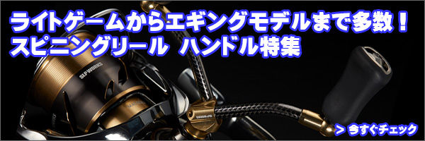 ☆特価品10％OFF【ダイワ純正/SLP WORKS】25RCS マシンカットブラック