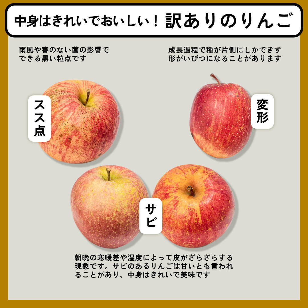 みっつちゃん(こうとく) | 産地直送通販 | 青森りんご | RED APPLE