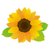 大きなひまわりの花」 - 無料イラスト［イラストareira］