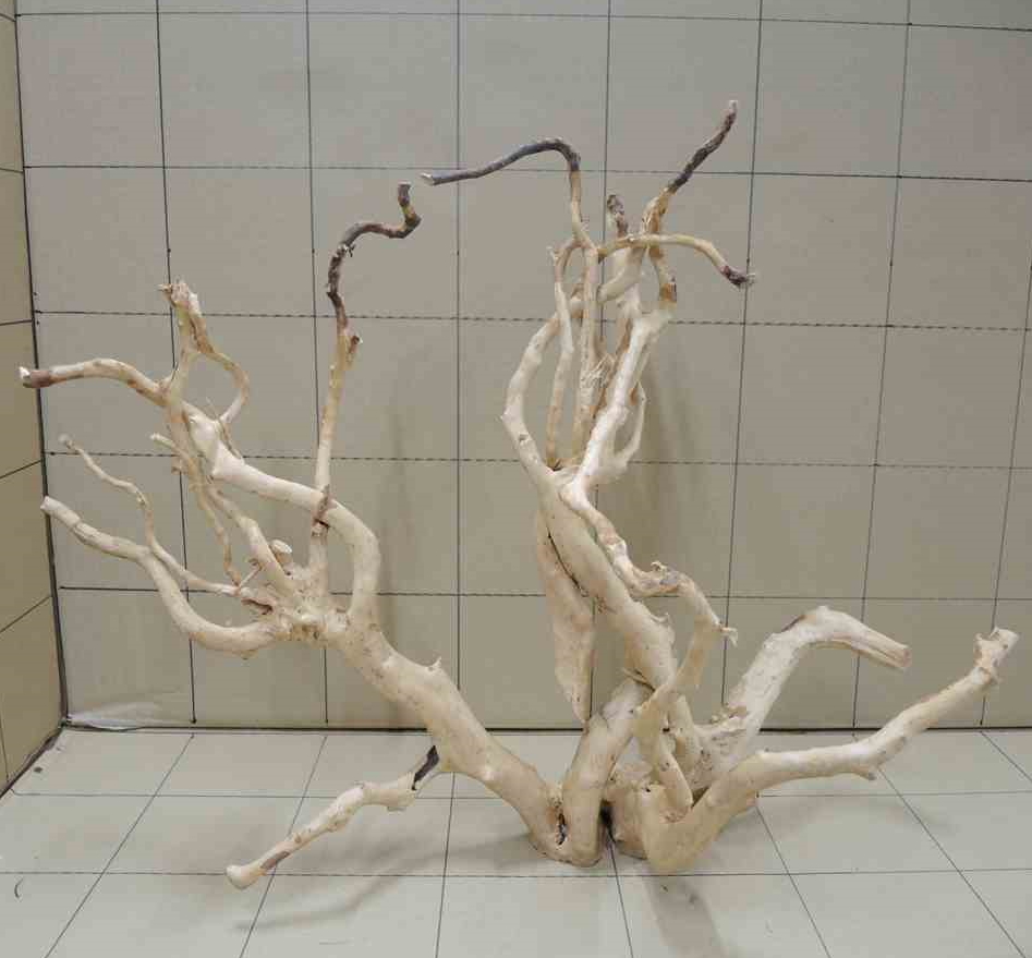 ADA ブランチウッドの販売(アクアマリン熊本)