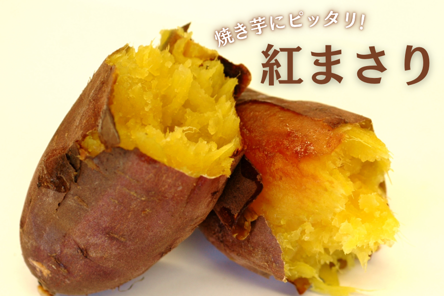 焼き芋にピッタリ！行方かんしょ 茨城県産『紅まさり』AM 約5kg: いい