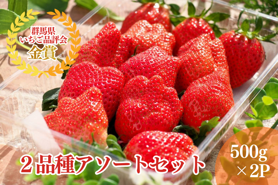 群馬県産いちご2品種アソートセット（500g×2P）（あすかファーム