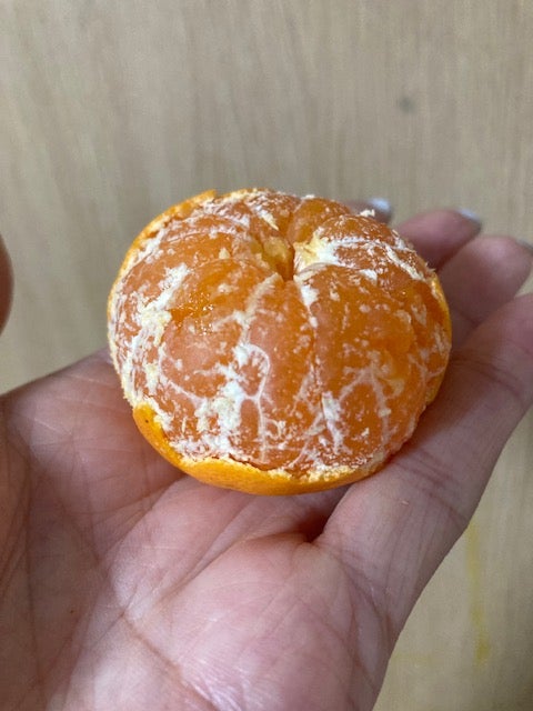 和歌山こかわ 美味しさぎゅっと凝縮！小粒みかん 2㎏: ココ・カラ