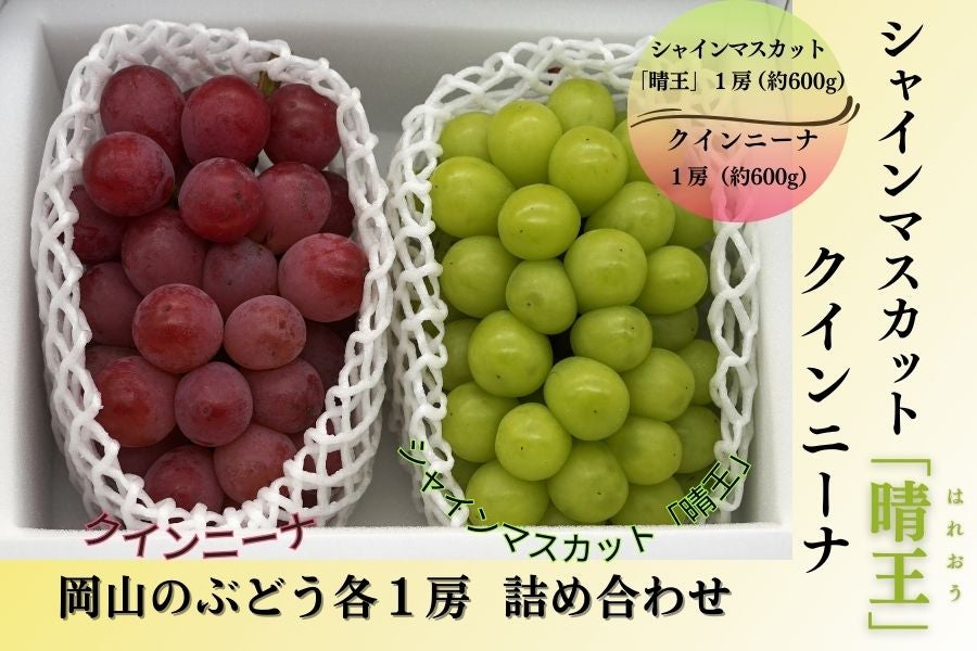 シャインマスカット&クイーンニーナ 各1房詰（8月下旬頃～10月上旬