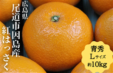 八朔（はっさく）・河内晩柑・ニューサマーオレンジ|【JAタウン