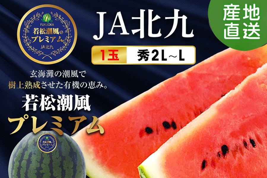 2026年6月中旬予約開始予定】◎JA北九 若松潮風プレミアム☆秀2L～L