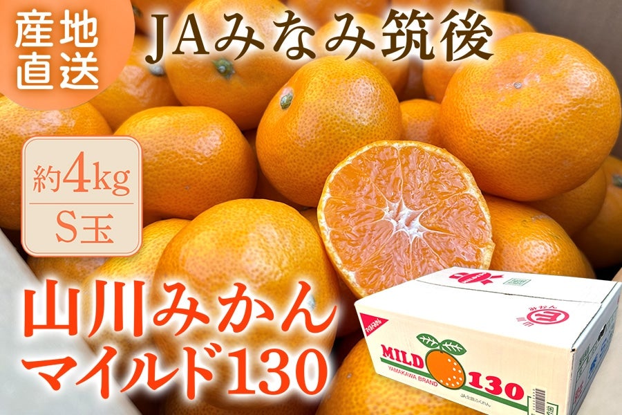 お歳暮】◎JAみなみ筑後 山川みかん『マイルド130』S玉 約4㎏ ※11月30