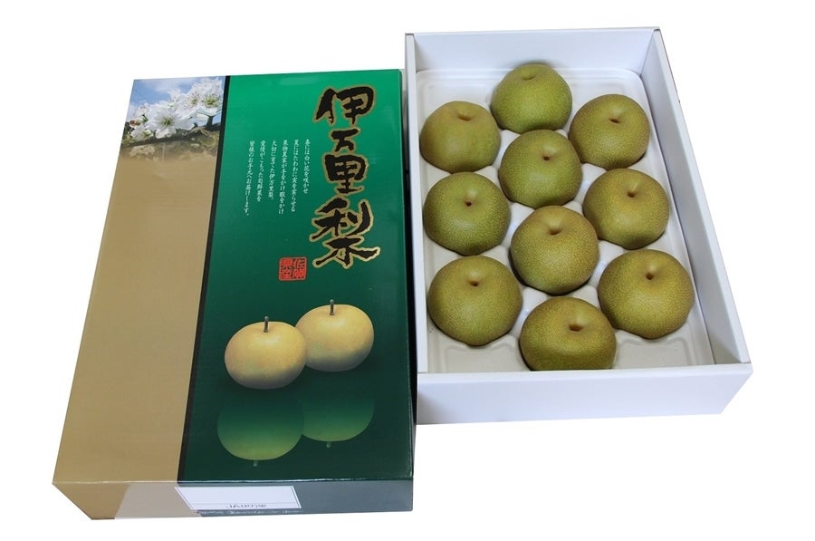 佐賀県伊万里産幸水梨 約5kg: さが風土館 季楽|【JAタウン】産地