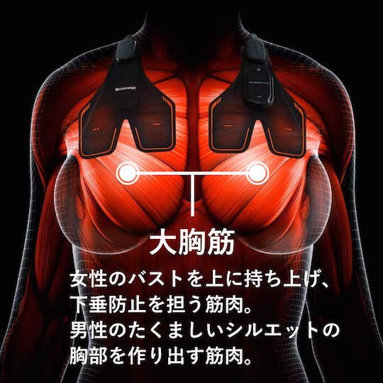 SixPad Chest Fit Training Gear | Japan Trend Shop