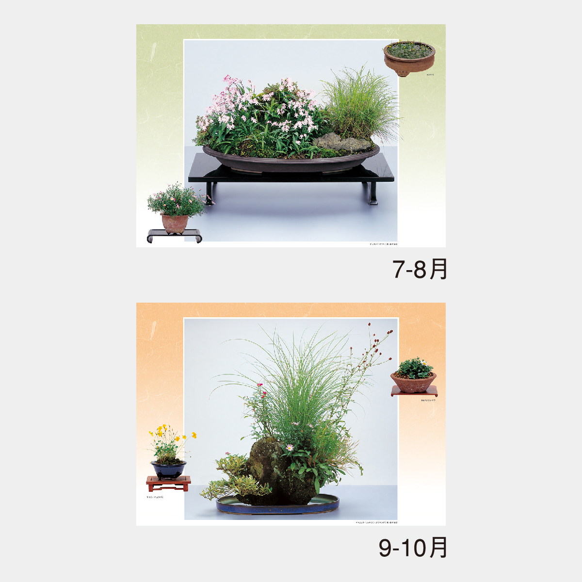 NK-46 野の花・山の花(山野草盆栽集)2026年版の名入れカレンダーを格安