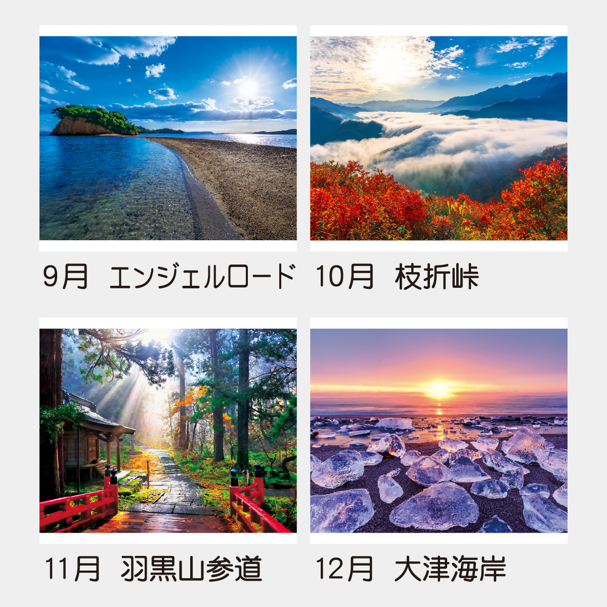 TD-631 インプレッション・オブ・ジャパン2026年版の名入れカレンダー