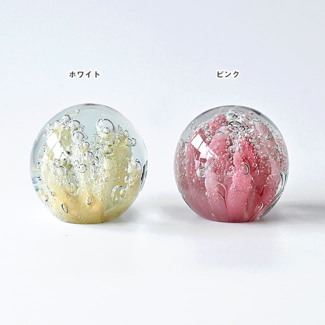 GLOBE ガラスアート コーラル | ゼネラルストア オルネ