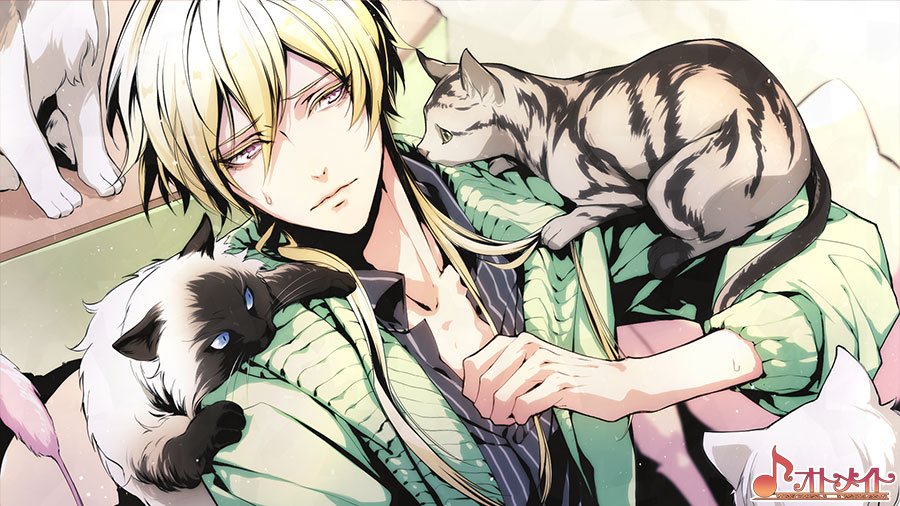 VARIABLE BARRICADE｜ギャラリー