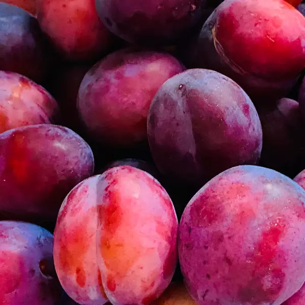 Outback Opal Peelable Wax 800g ピンク Outback Opal Peelable Wax