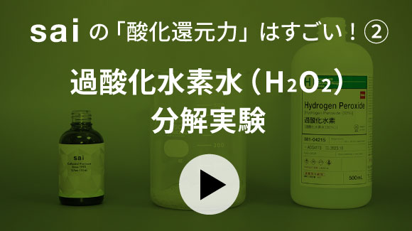 sai 8つの真実｜崙堂株式会社