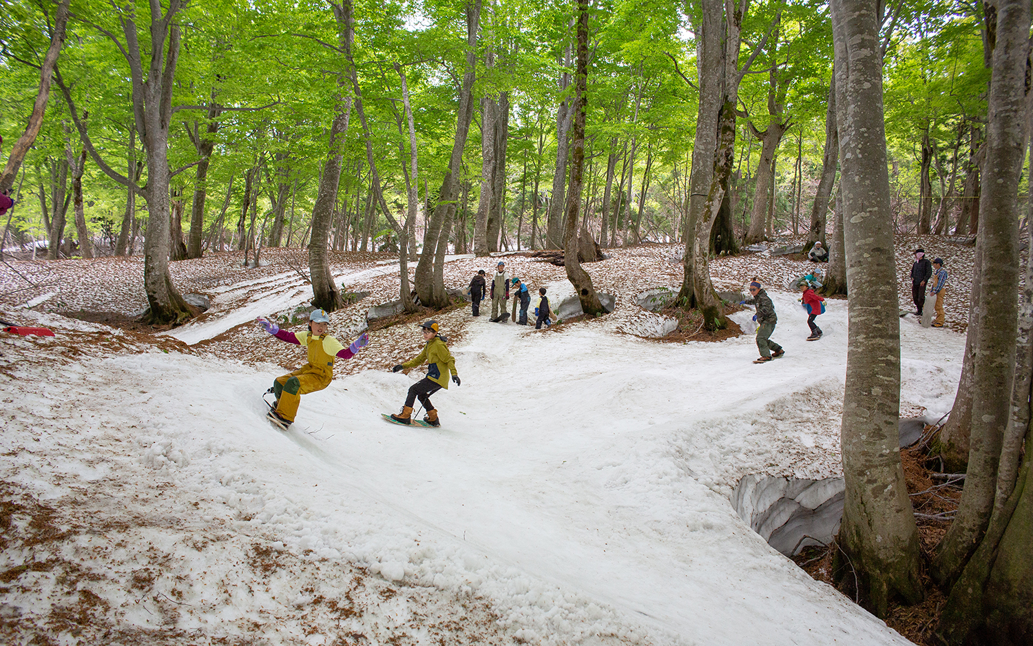 □ 芽育雪板 □ 2024/25 北郷産 Hand-shaped MAKE Snowtoy - LADE