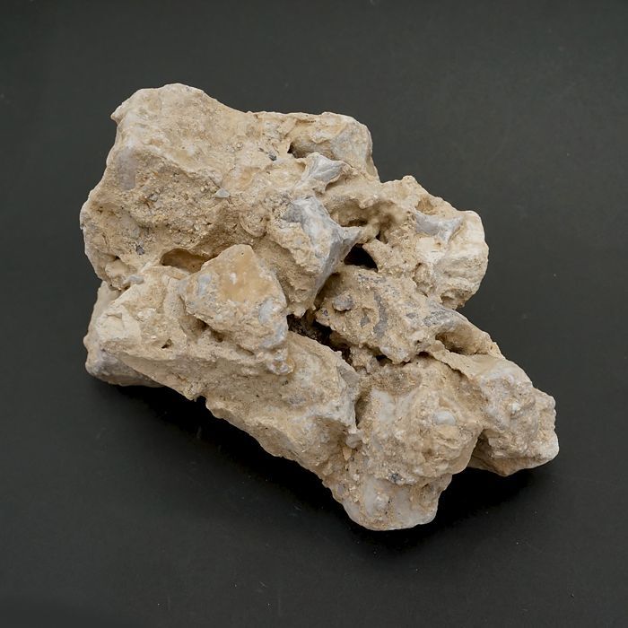 正規代理店】 君が代 希少石 日本 天皇 永遠 繁栄