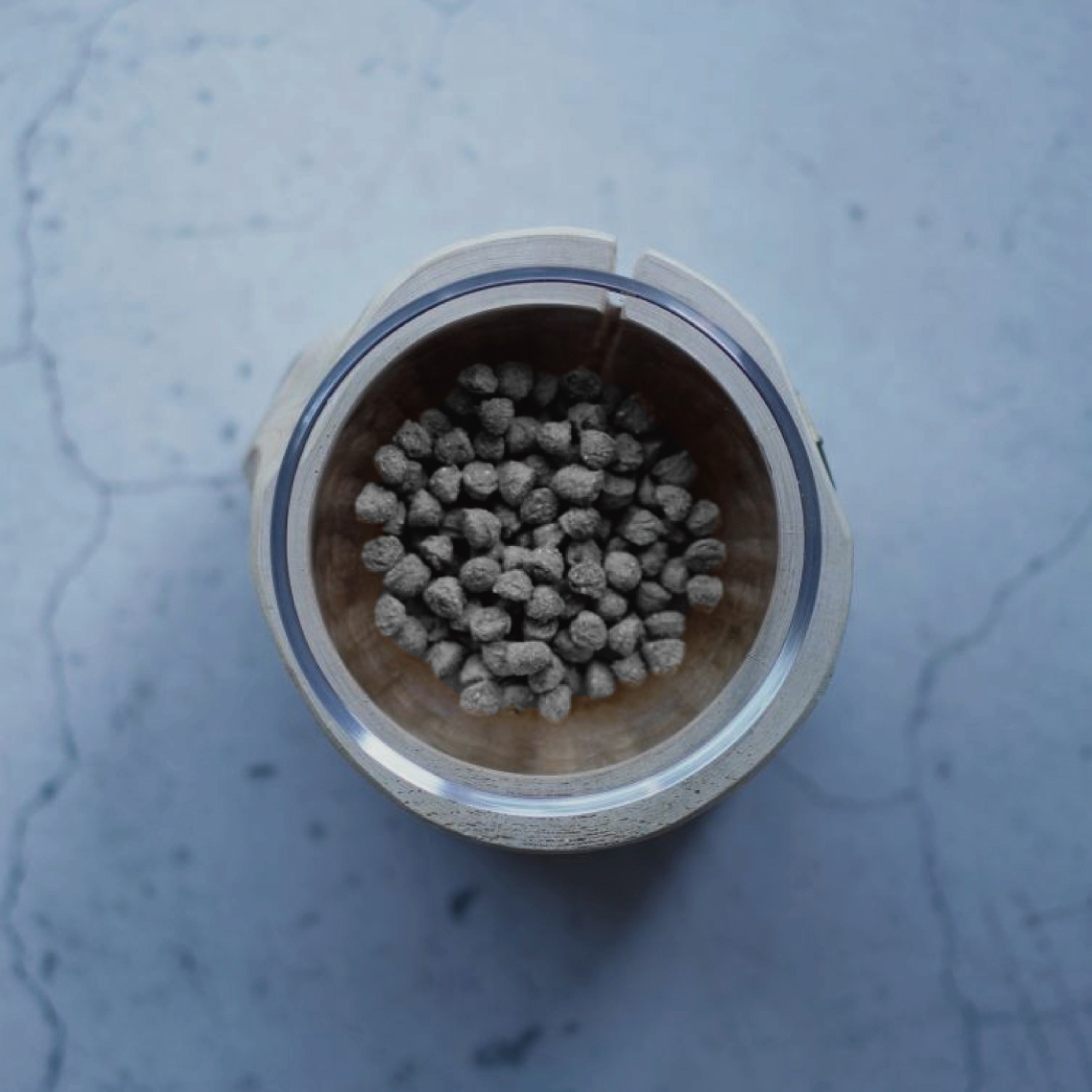 初回お試し送料無料【サーモン】シュナウザー・テリア専用ドッグフード