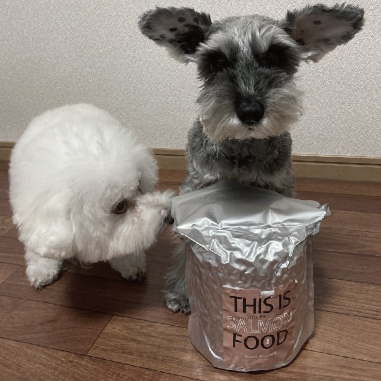 シュナウザー・テリア専用【サーモン】ドッグフード1kg袋