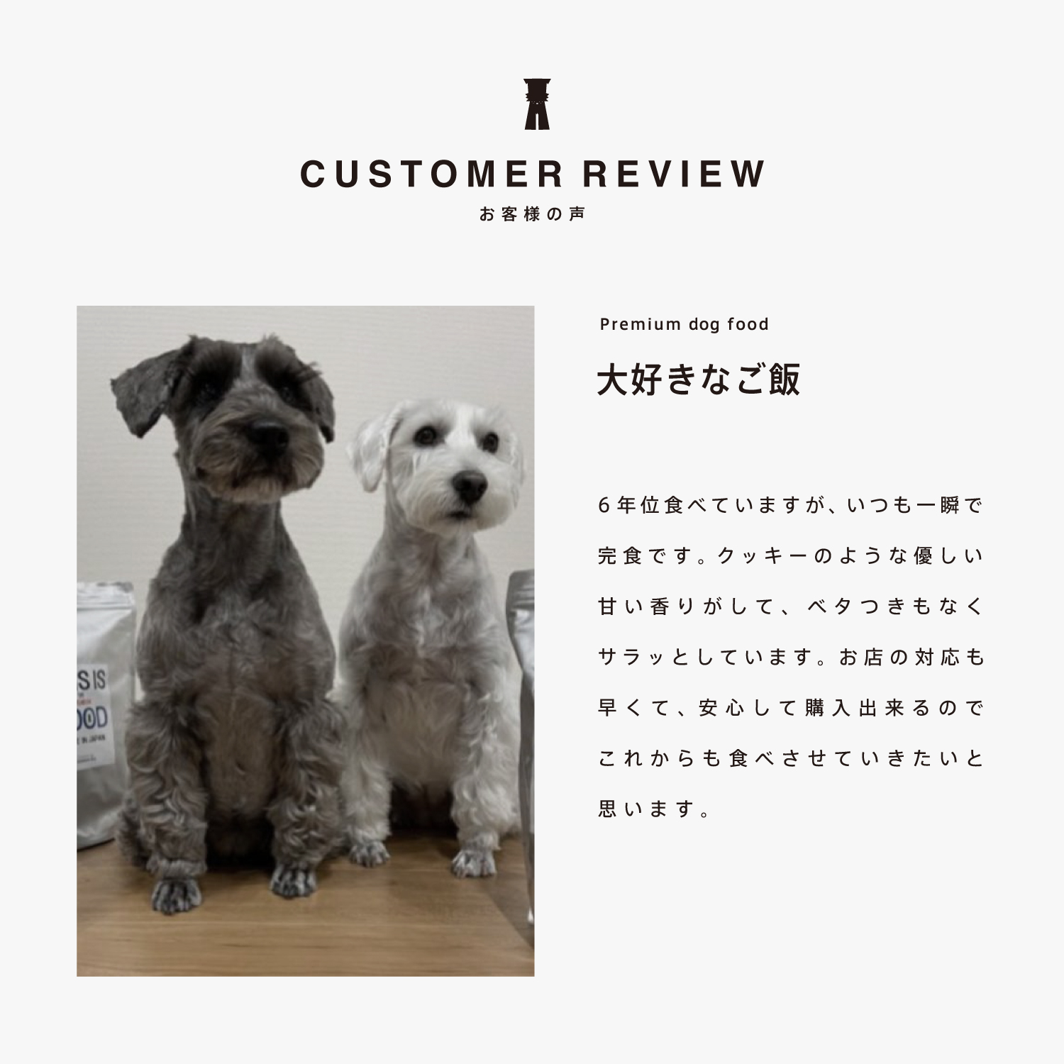 シュナウザー・テリア専用ドッグフード1kg袋×3袋まとめ買いセット