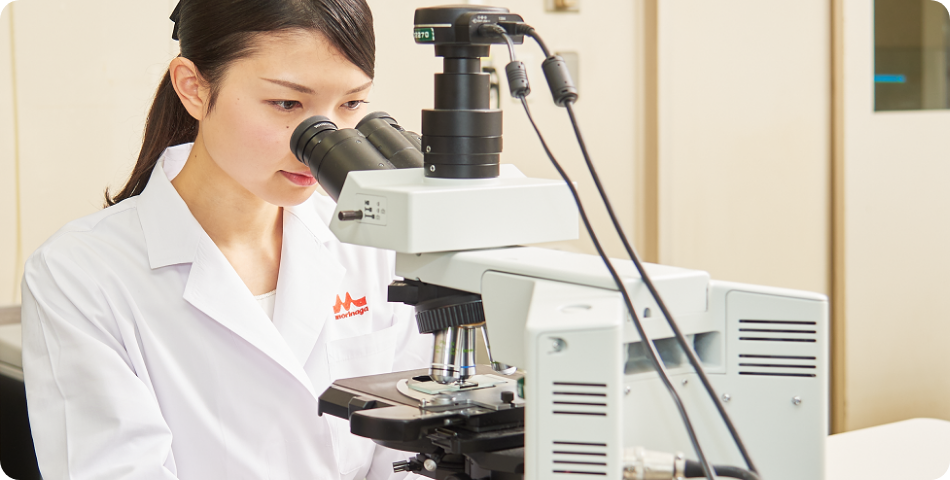 森永乳業のビフィズス菌研究｜森永乳業まいにち乳life