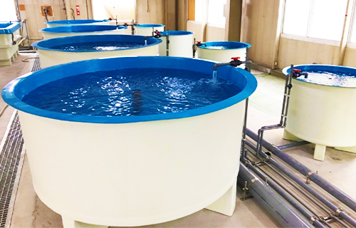 FRP水槽 - 油圧機器・自動車関連機器の専門商社