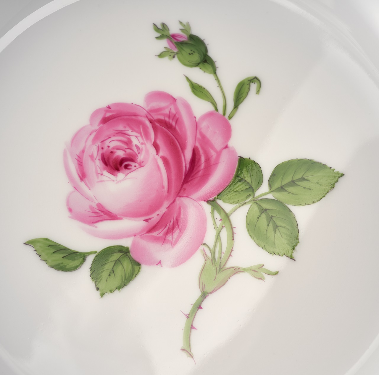 ドイツの名窯マイセン 日本公式サイト|マイセンのバラ