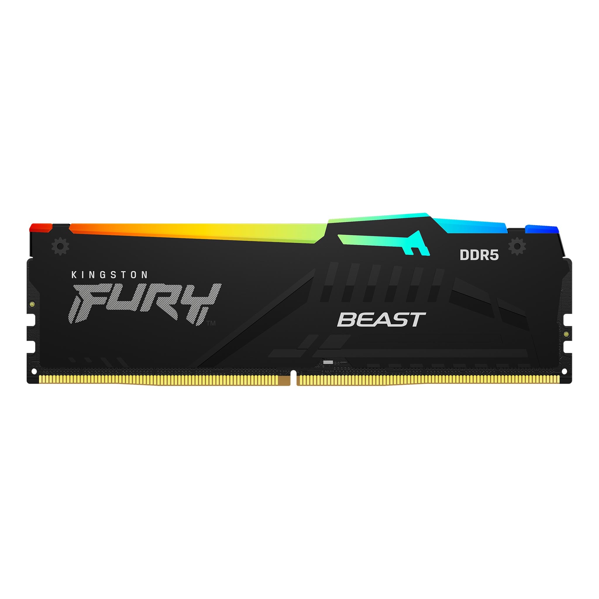 16GB Kingston Technology Fury Beast RGB DDR5 6000MHz Memory Module