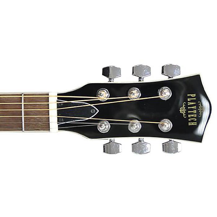 PLAYTECH ( プレイテック ) ／ RG10 エレクトリック・リゾネーター