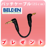 □ご予約受付□ J. Rockett Audio Designs(JRAD) ／ MARK SAMPSON